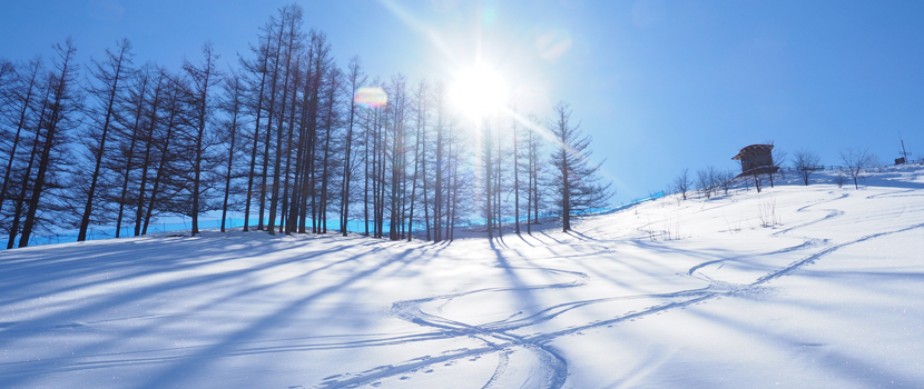 寝屋川市成田町 香里園駅 整形外科
